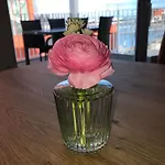 App 7 3-zi Whg Passatblick Am Passathafen Travemünde Pva007 Apartamento *